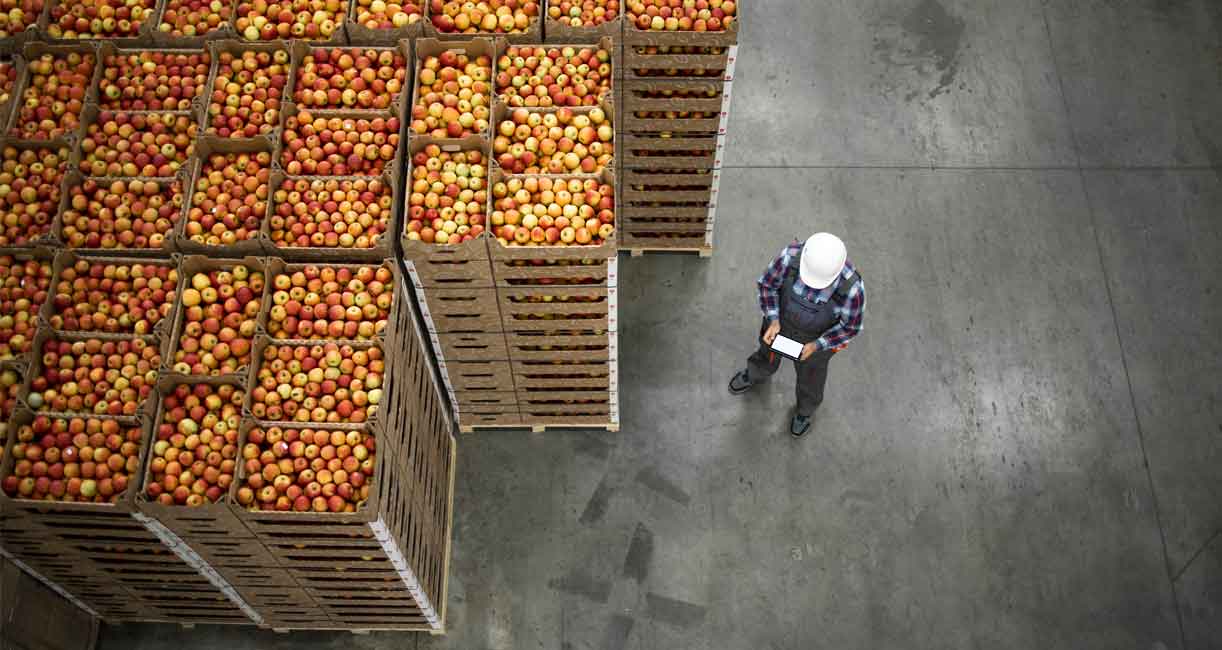 conserve alimentari